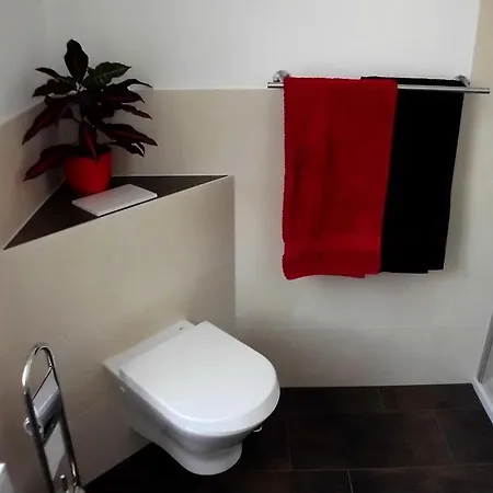 Daire Neu! Schubert *