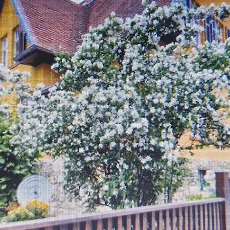 Apartment Neu! Schubert